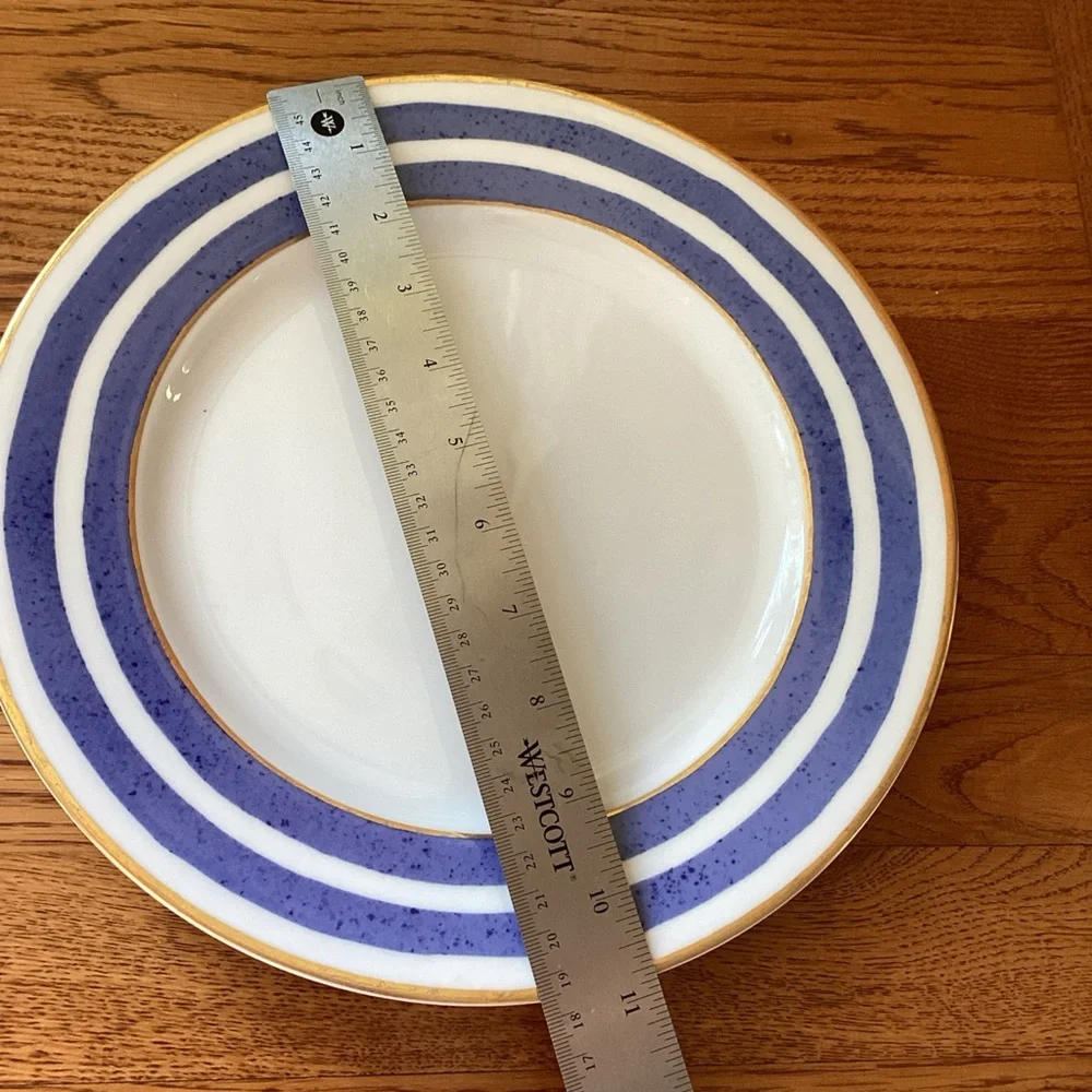 Crate and Barrel VERANDA BLUE STRIPED Gold Rim Dinner Plate / SoupBowl HTF